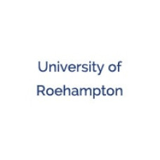 International Business BSc (single honours) International Business BSc (single honours)